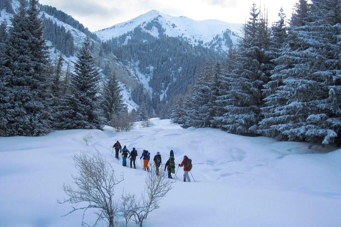 1-day Backcountry Tour - Key Highlights You Should Know