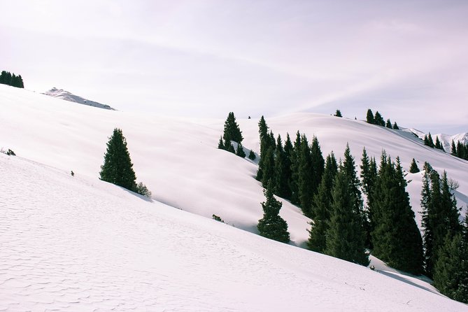 1-day Backcountry Tour - Zailiyskiy Alatau Freeride, Right From Almaty