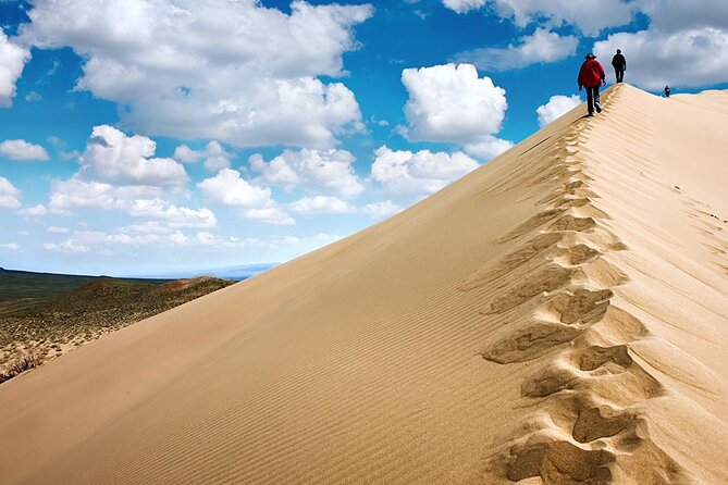 1 Day Express Tour: Altyn Emel National park - Price and value: what $526 per person covers