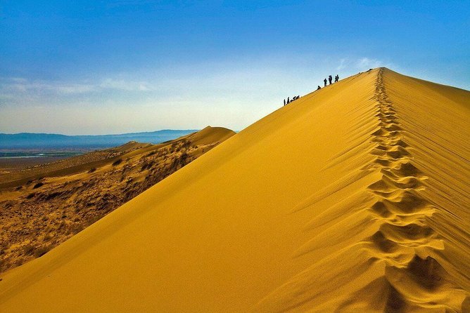 1 Day Express Tour: Altyn Emel National park - Singing Barkhan: feel the sound in the sand