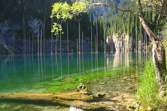 1 Day Express Tour: Charyn Canyon, Kaindy & Kolsay Lakes - Kaindy Lake: Forest Pines and a Landslide Origin You Can Feel