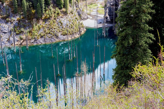2-Day Private Tour - The Kolsai Lake & Kaindy (Sunken forest) via Charyn canyon - Kaindy Lake and the sunken forest: why it feels unreal