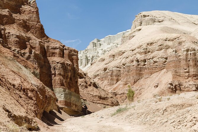 2 Days Tour: Altyn Emel National Park – Singing Dunes & Aktau Mountains - Key Things You’ll Notice on This Altyn-Emel 2-Day Trip