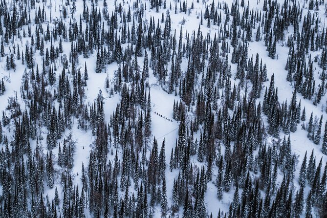 6-Day Kazakhstan Ridder Camp Ski Private Guided Tour and Adventure - Key things that make Ridder Camp worth it