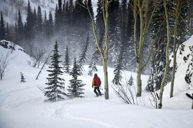 6-Day Kazakhstan Ridder Camp Ski Private Guided Tour and Adventure - Logistics and Guides: Why Julia’s Name Comes Up Again and Again