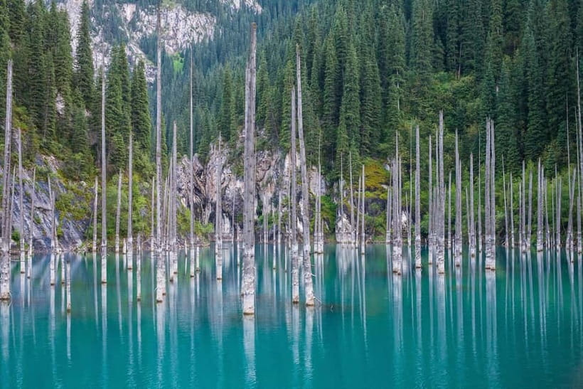 Almaty: Charyn Canyon, Kolsai & Kaindy Lakes Tour - Kaindy Lake hike and the underwater forest effect