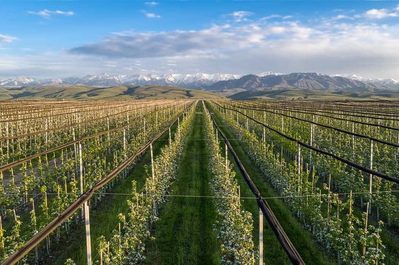 Almaty City: Big Almaty Lake Roundtrip Transfer and Tour - Weather-proofing your day: how to plan for fog, snow, and cold