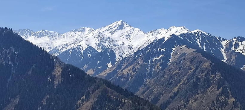Almaty: Falconry show and Big Almaty Gorge - Who This Tour Fits, and Who Should Skip It