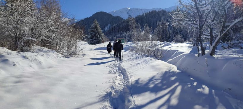 Almaty: Hiking to the High Mountain Pasture Kok Zhailau - Price and Value: Is This Worth It?