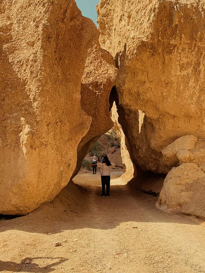 Almaty: Kolsay & Kaindy Lakes, Charyn Canyon Private Tour - Charyn Canyon National Park: Viewpoints and Castle-Like Rock Walks