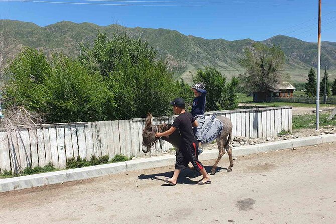 Almaty Region 3 Days Tour from Almaty - Altyn-Emel on Day 2: Singing Dune and an early start you’ll thank yourself for