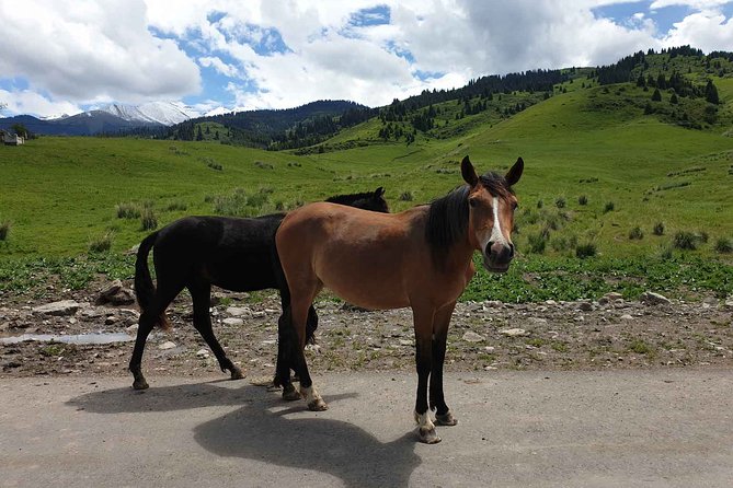 Almaty Region 3 Days Tour from Almaty - Comfort, meals, and what your $1,021 actually covers