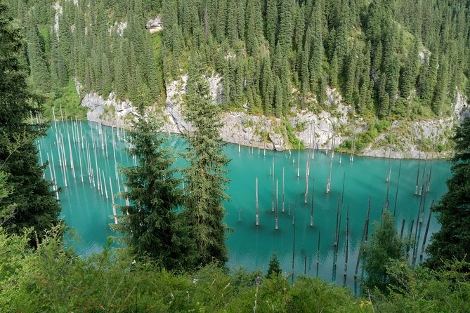 Almaty Region 5 Days Private Tour from Almaty - Day 1: Almaty to Altyn-Emel, Aktau Mountains, and Katutau