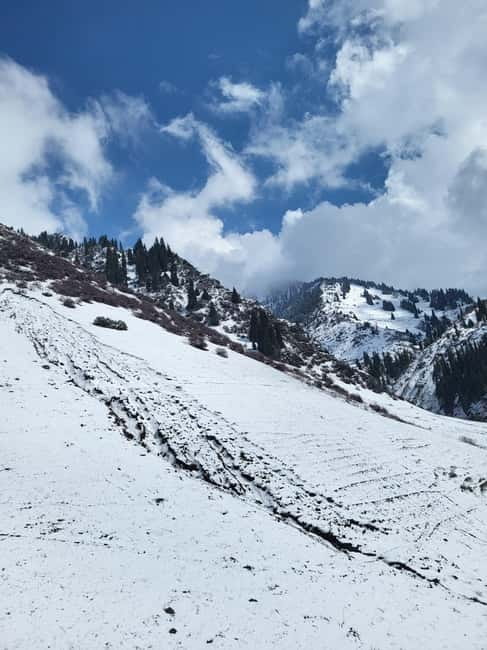 Almaty: Shymbulak, Medeu, Kok Tobe by cable cars and tickets - Zenkov’s Cathedral: the day’s culture reset