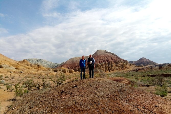 Altyn Emel National Park, Private tour, 2 days from Almaty - Altyn Emel National Park: Singing Dune, Semi-Desert Driving, and Red Book Chances