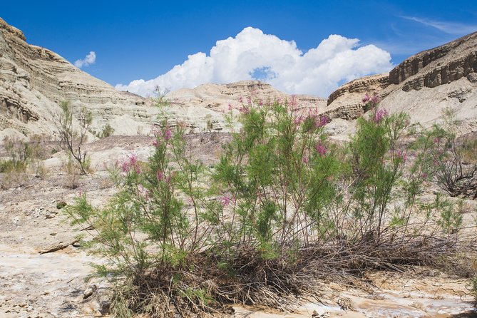 Altyn Emel. Singing dune and Aktau mountains 2 days tour - Two Days in Almaty’s Wild Side, Without the Headaches