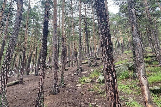 Astana: Burabay Oasis National Park Unforgettable Adventure - Why Burabay feels different from a typical day trip