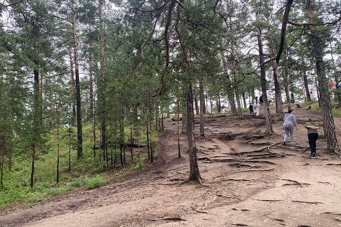 Astana: Burabay Oasis National Park Unforgettable Adventure - Getting there from Nur-Sultan, and why timing matters