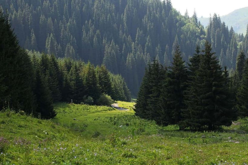 "Butakovka Waterfall" - a half day tour - From Almaty pickup to mountain trail time