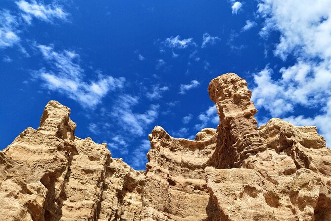 Charyn Canyon - a Place where time stood still... - Price and value: what you get for about $117.92 per person