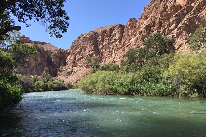 Charyn Canyon Private tour from Almaty, 1 day - Entering Charyn National Nature Park: the Valley of Castles views