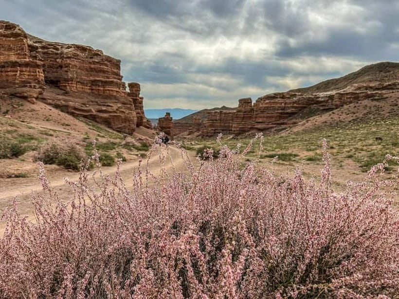 From Almaty: Charyn Canyon Full-Day Trip with Boxed Lunch - Valley of Castles: the 2 kilometer stone city feel