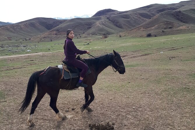 Horseback riding Tour - Price and value: what $116 covers and when it feels worth it