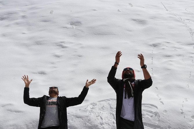 Medeu and Shymbulak ski resort private excursion - Private ride from Almaty: fewer headaches, more mountain time