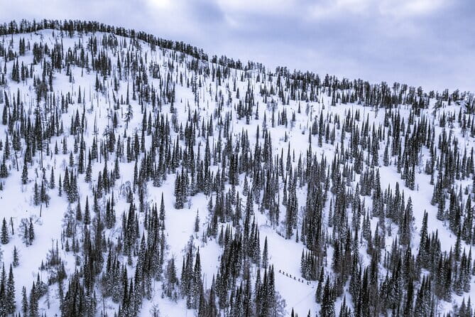 One Day Ski Tour Near Almaty - Zailijskij Alatau ridge: where the day’s work turns into ski touring fun