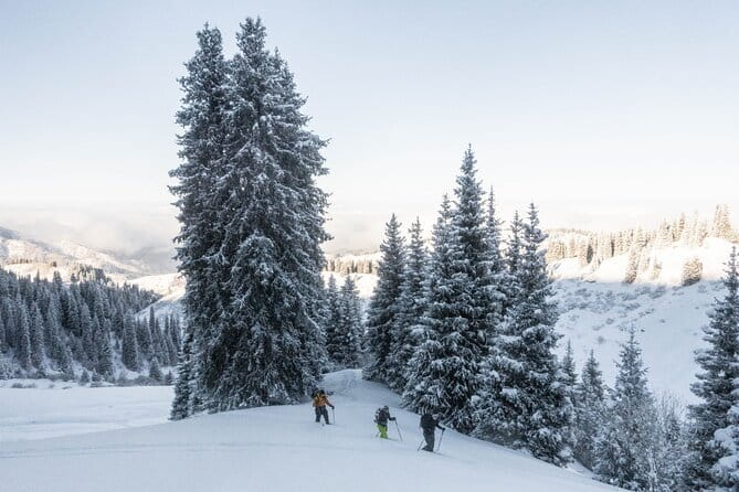 One Day Ski Tour Near Almaty - Should you book this Almaty one-day ski tour near Zailijskij Alatau?