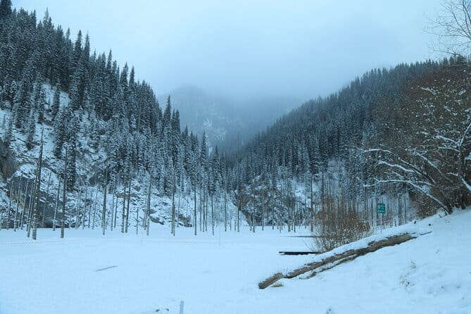 Private Charyn Canyon, Kolsai Lake with Optional Kaindy Lake tour - How the private format changes your experience