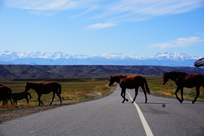 Private tour Almaty Region 3 days with Silktravel - Day 2: Singing Dune, Then Charyn Canyon’s Castles Valley