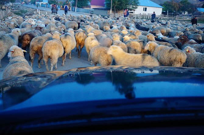 Private tour from Almaty 4 days in National parks all inclusive - Why The Almaty Golden Circle Feels Like Five Different Countries