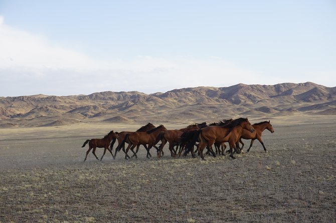 Private tour from Almaty Charyn canyon on Comfortable SUV - Stop 1: Charyn Canyon and the Castles Valley walk
