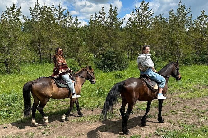 Private Yurt Tour with Horses: Immerse into Kazakh Culture - BalQaragai yurt stop: Kazakh music, snacks, and guide stories
